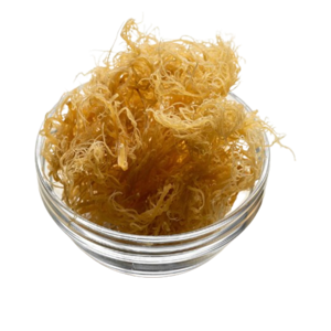 Irish Moss 2lb- Becy Africa Store